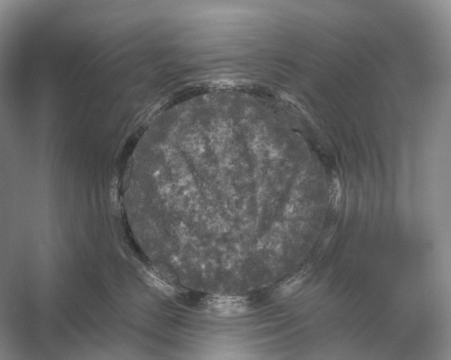 X0000053140670200508081346