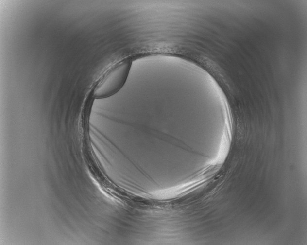 X0000053140674200508081345