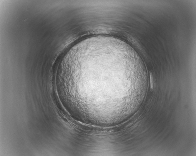 X0000053140675200508081345