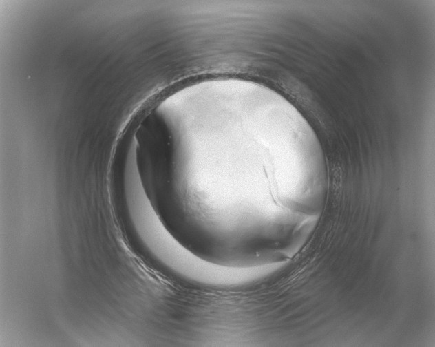 X0000053140676200508081345