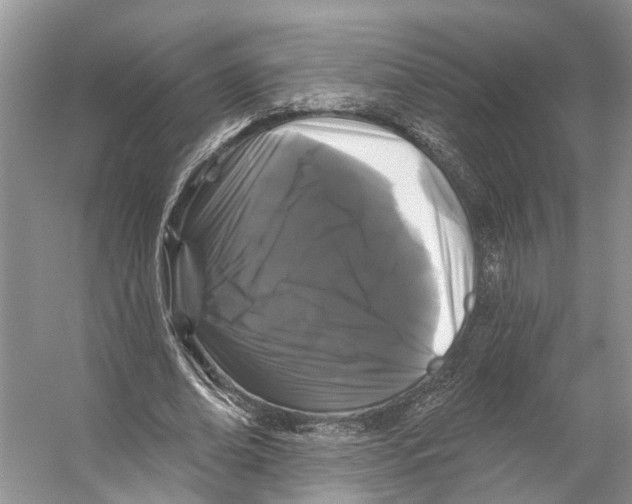 X0000053140678200508081345