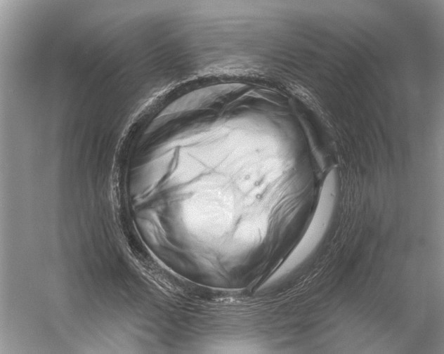 X0000053140680200508081345