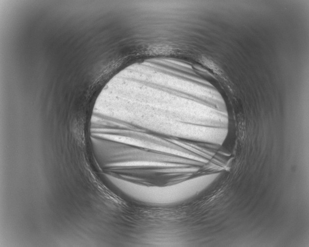 X0000053140681200508081345