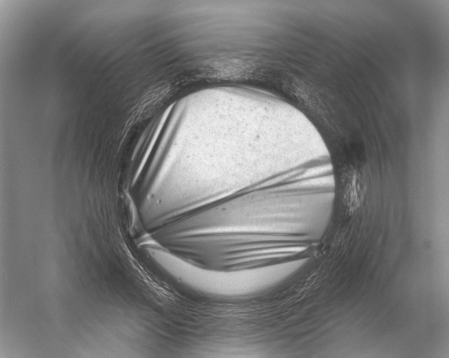 X0000053140685200508081345