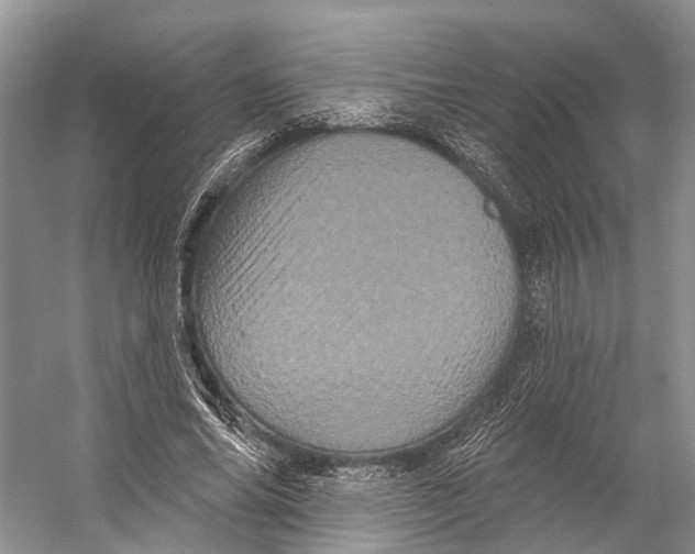 X0000053140686200508081345