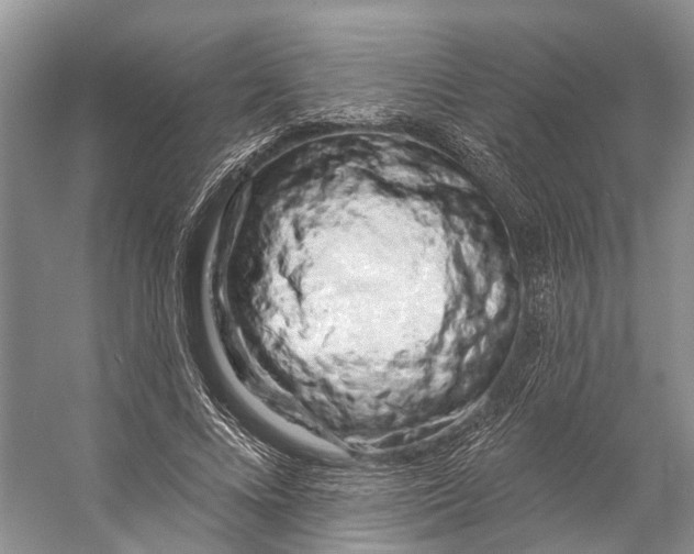X0000053140688200508081345