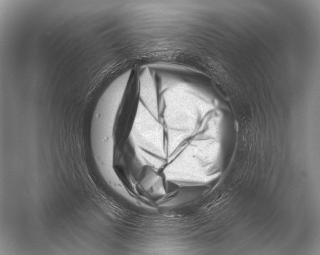 X0000053140693200508081345