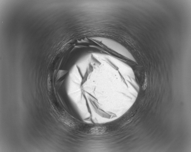 X0000053140700200508081344