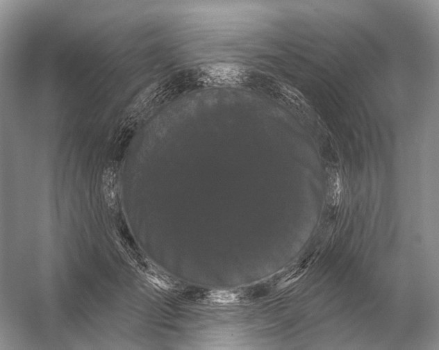 X0000053140701200508081344