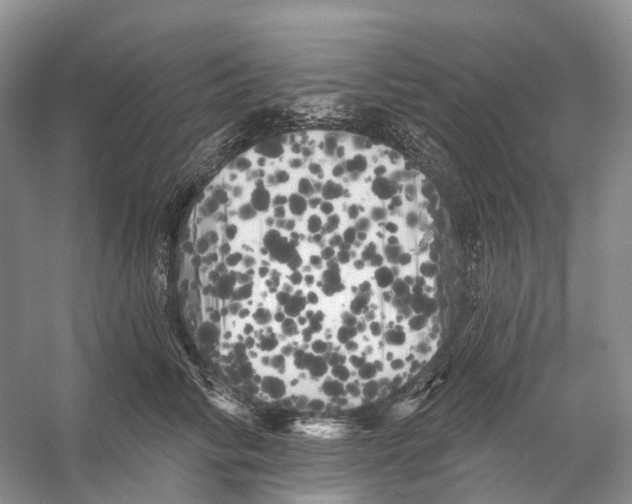 X0000053140710200508081344
