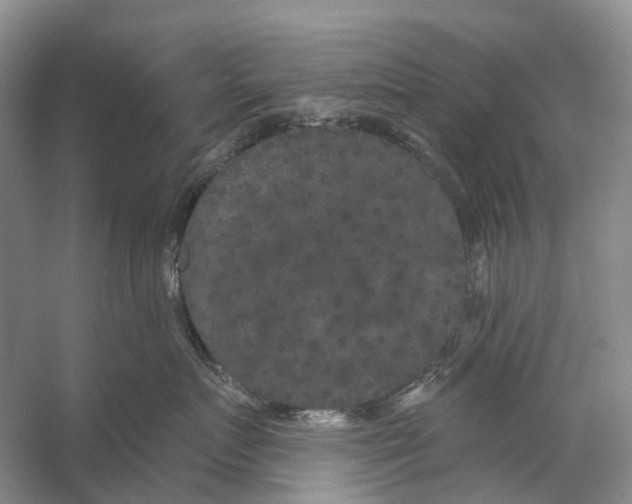 X0000053140719200508081344