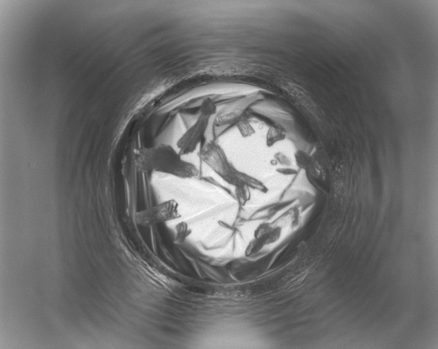 X0000053140727200508081343