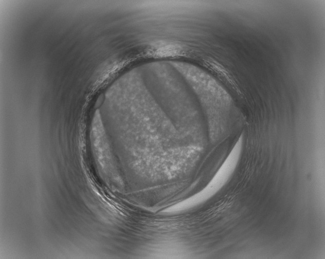 X0000053140732200508081343