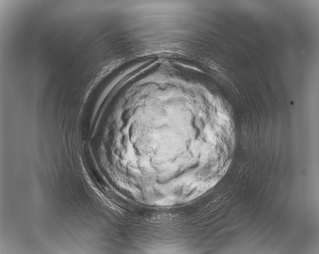 X0000053140734200508081343