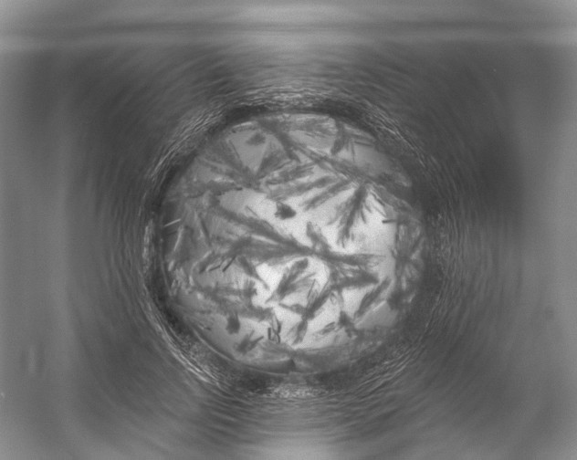 X0000053140742200508081344