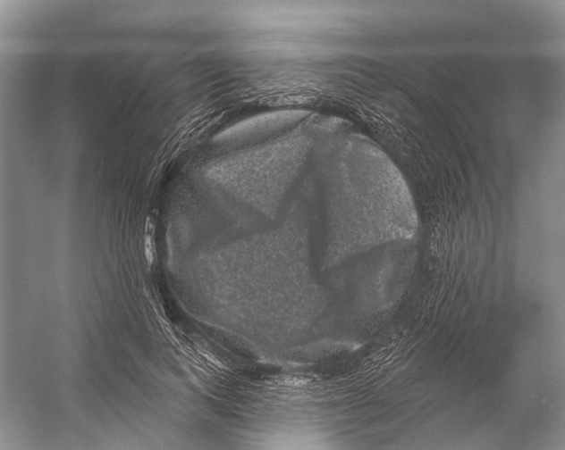 X0000053140743200508081344