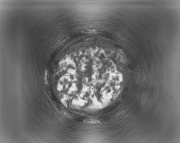 X0000053140747200508081344
