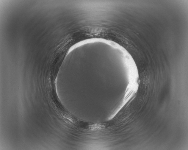 X0000053140754200508081344