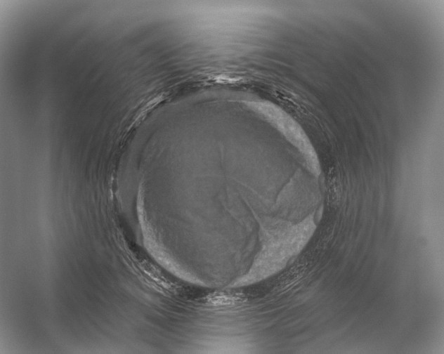 X0000053140756200508081344