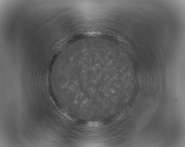 X0000053140757200508081344