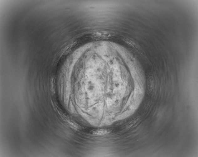 X0000053140759200508081344