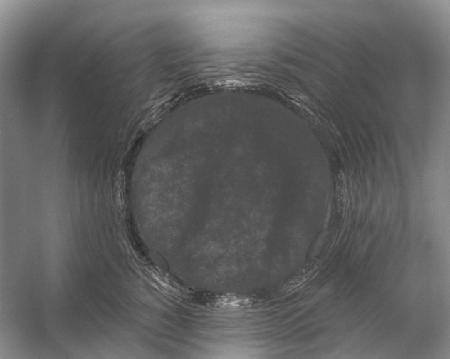 X0000053140760200508081344