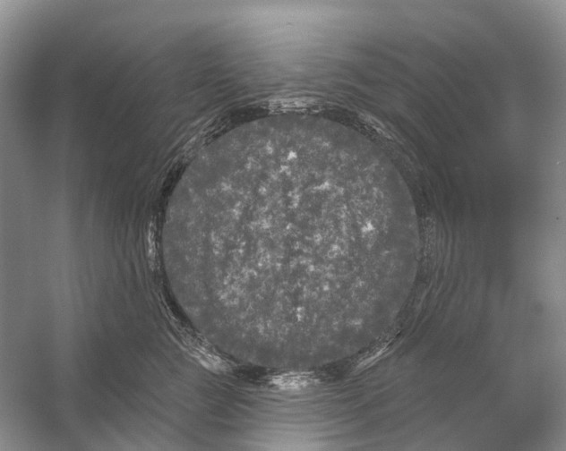 X0000053140761200508081344