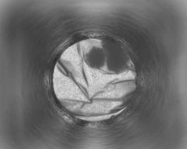 X0000053140763200508081344