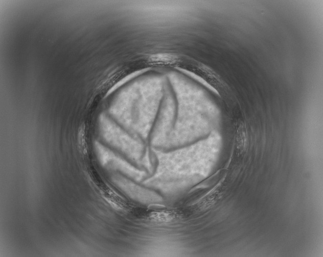 X0000053140764200508081344