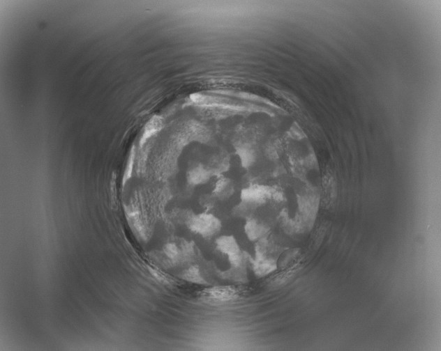 X0000053140765200508081344