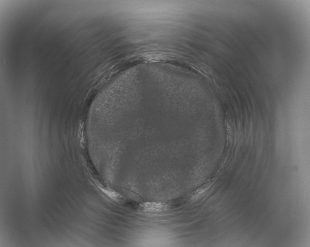X0000053140766200508081344
