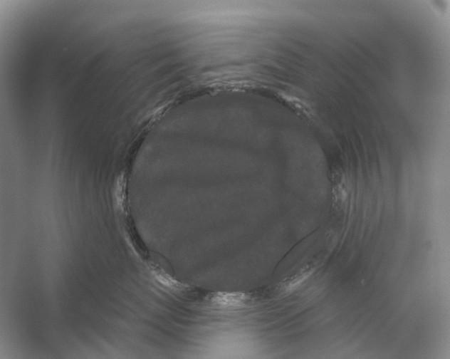 X0000053140767200508081344