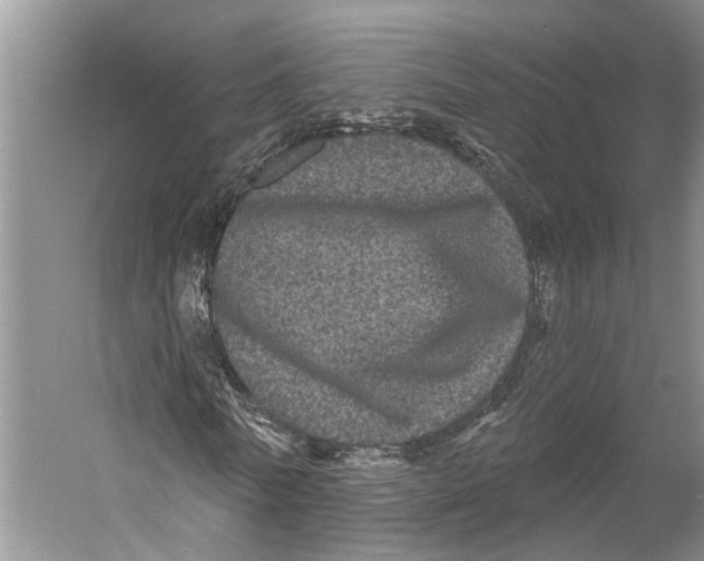X0000053140770200508081343