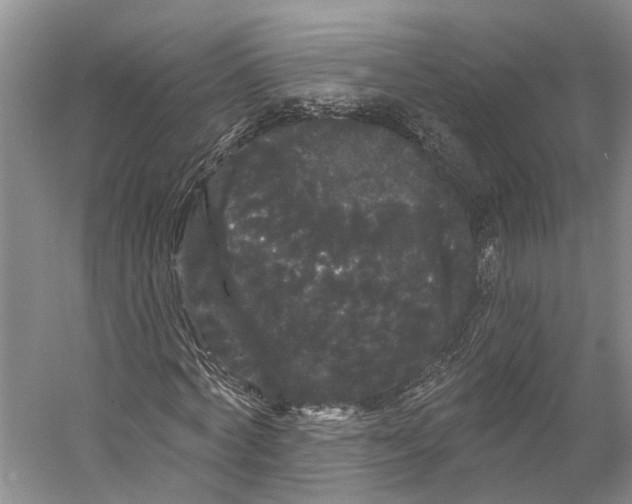 X0000053140772200508081343