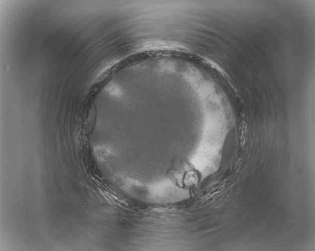 X0000053140775200508081343
