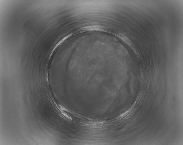 X0000053140782200508081343