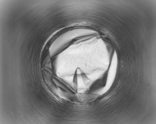 X0000053140784200508081343