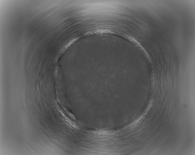 X0000053140785200508081343