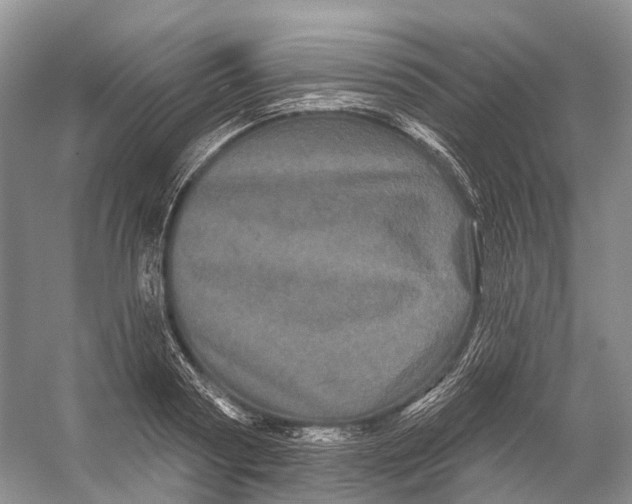 X0000053140794200508081343
