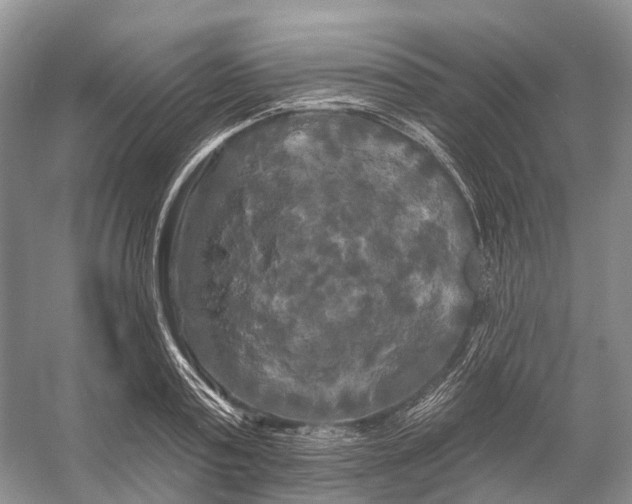 X0000053140795200508081343