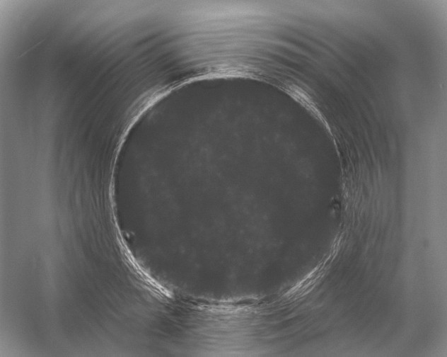 X0000053140797200508081343