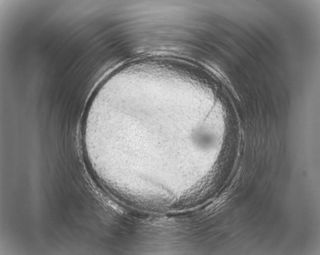 X0000053140798200508081343