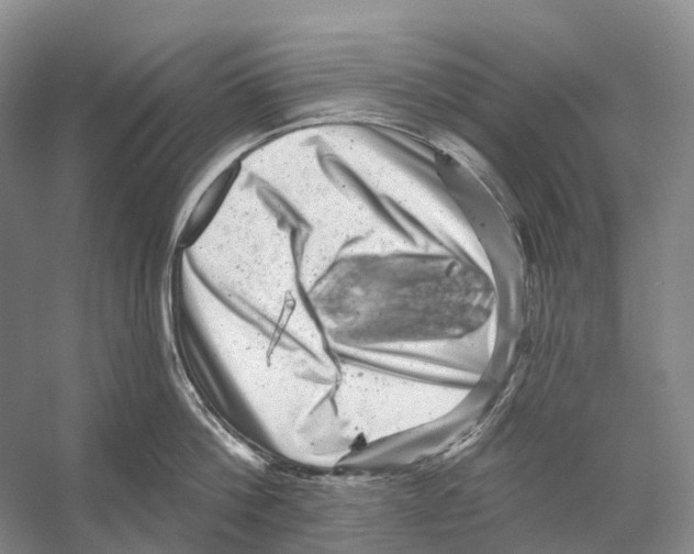 X0000053140812200508081343