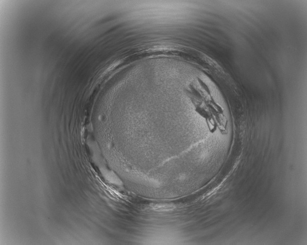 X0000053140825200508081342
