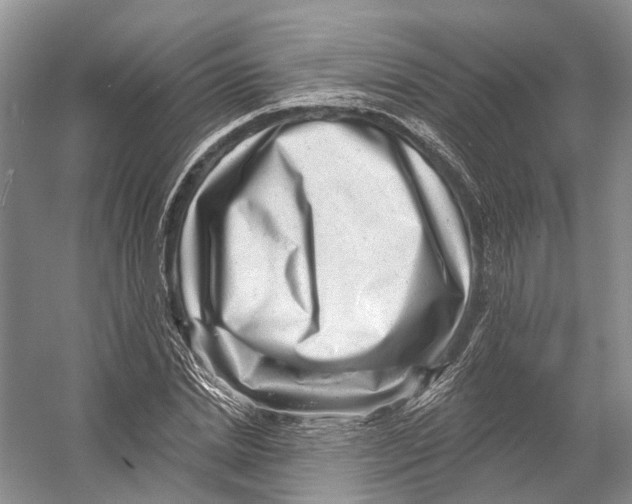 X0000053140830200508081342