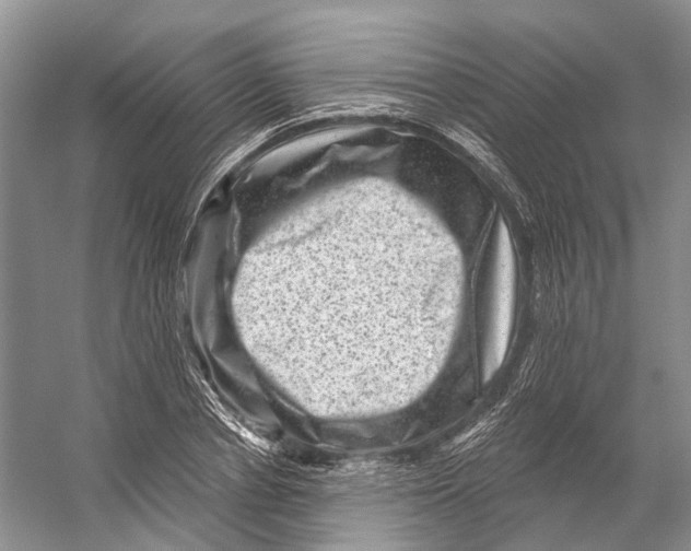 X0000053140834200508081342