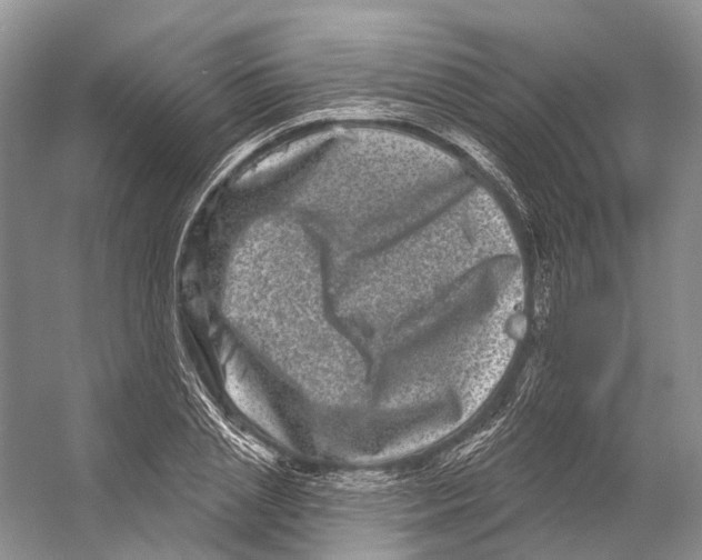 X0000053140837200508081342