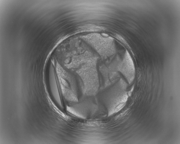 X0000053140843200508081342