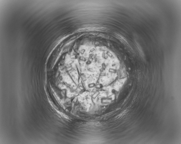 X0000053140844200508081342