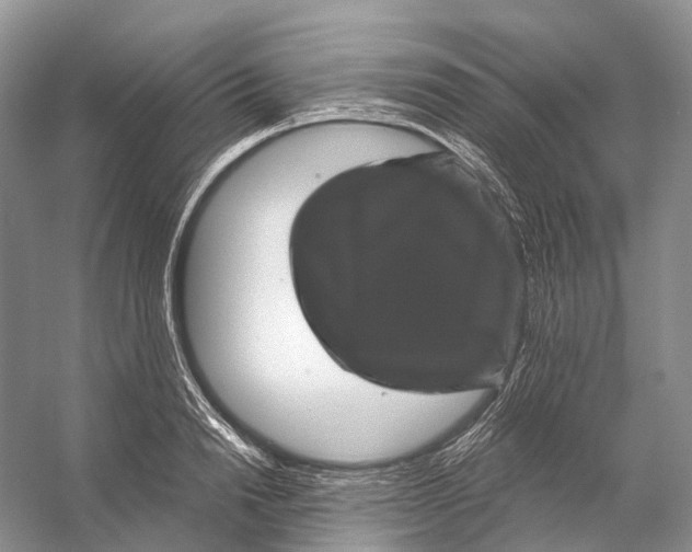 X0000053140846200508081342